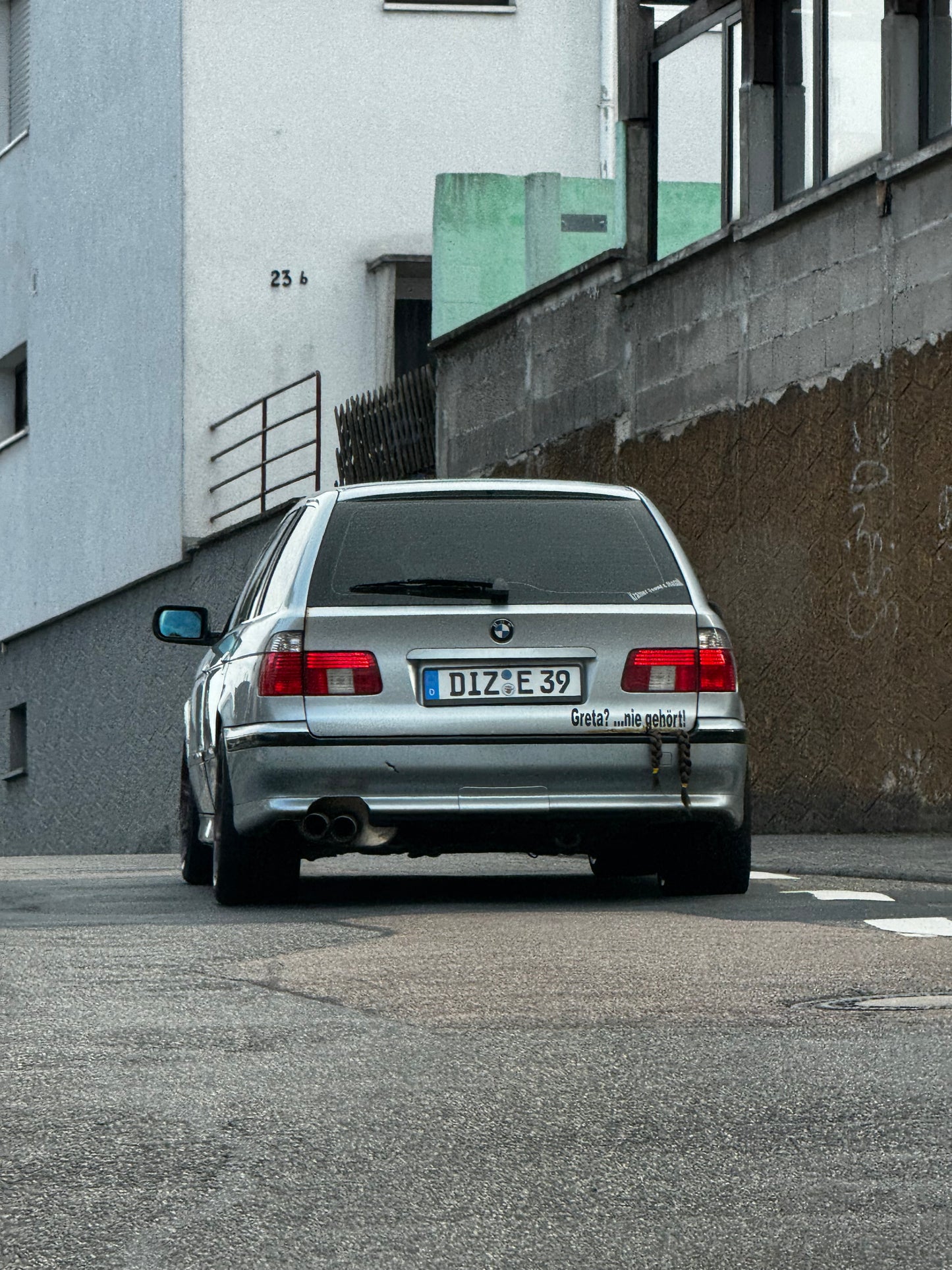 Greta Thunberg Braids For Your Trunk